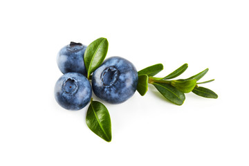 Blue berry isolated on white background