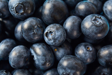 Blue berry close up