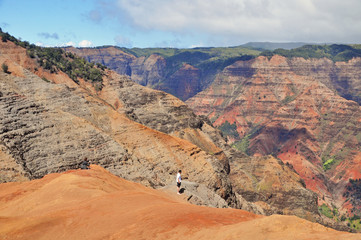 Waimea Canyon
The colorful Waimea Canyon is known as the Grand Canyon of the Pacific