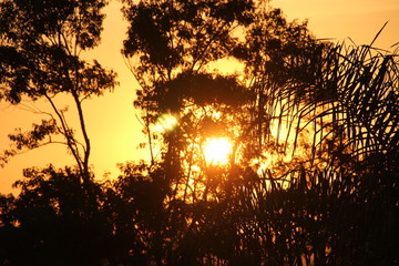 Fototapeta premium Sâo Paulo City