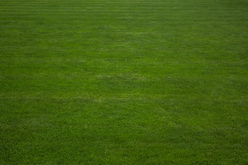 synthetic football field green grass background texture concept with empty space for copy or text