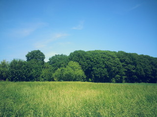 Fototapeta premium Landschaft 