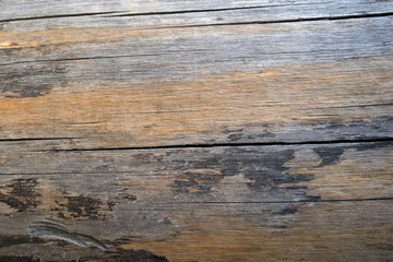 Old wooden log surface with big cracks and bark remains, may be used as background