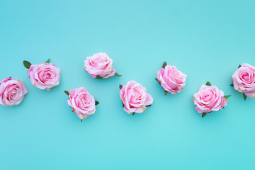 Row of satin pink rose buds on turquoise pastel background. Top view.
