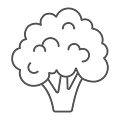 Broccoli thin line icon, vegetable and diet, vegetarian sign, vector graphics, a linear pattern on a white background, eps 10.