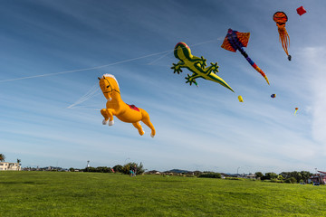 String of huge, animal-theme kites flying in a blue sky at Matariki - Maori New Year.