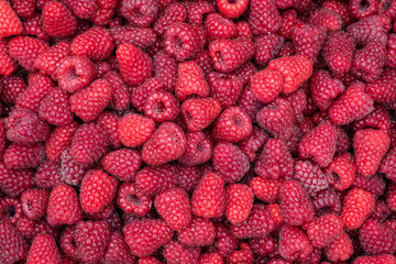 A harvest of fresh red raspberries, beautiful nature background   © knelson20