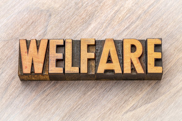 welfare - word abstract in wood type