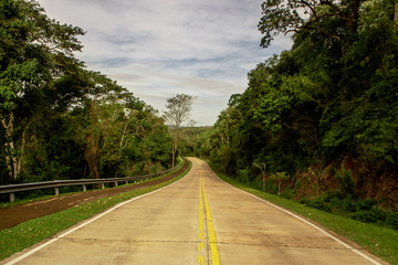 Fototapeta na wymiar green path over the jungle