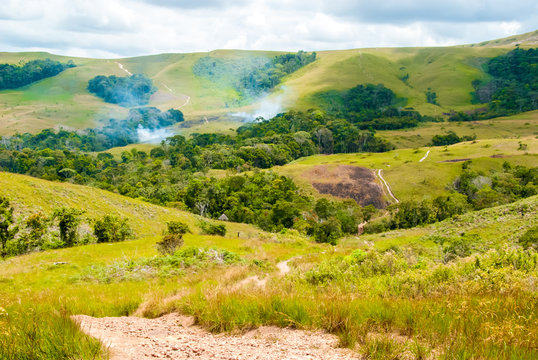 รูปภาพSabana – เลือกดูภาพถ่ายสต็อก เวกเตอร์ และวิดีโอ7,206 | Adobe Stock