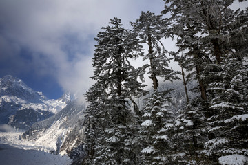 Hailuogou Glacier Park scenery - Gongga Snow Mountain National Park in Sichuan Province, China. Snow Mountain/Glacier scenery with trees in the foreground. Snow Mountains, Ice, Clouds and Blue Sky.