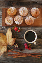 Autumn coffee break: cinnamon apple muffins