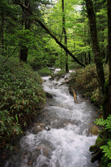 Obraz premium 上高地