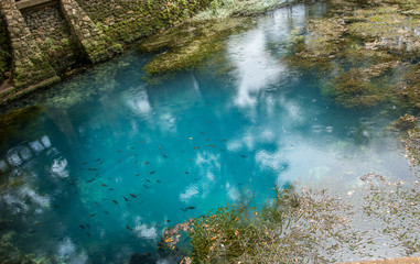 Blue Radium Springs 