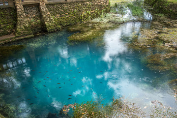 Fototapeta na wymiar Blue Radium Springs 