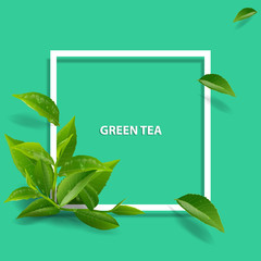 green tea cup brochure, banner,  leaves vector.