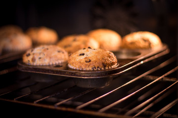 Sour Cream Muffins