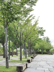 気持ちの良い公園のベンチ