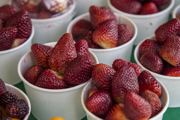 Fragaria - rich red fruits