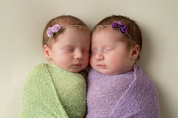 Head Shot of Fraternal Twin Newborn Girls