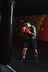 Boxer hits a speed bag in the gym, training shock