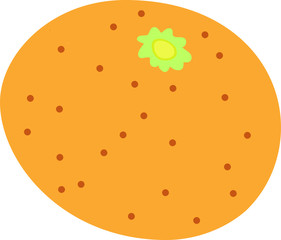 Fresh orange illustration