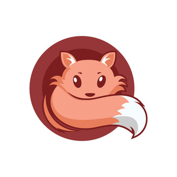 Cute Fox In Circle Logo Symbol Illustration