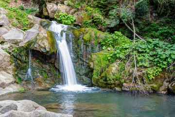Fototapeta na wymiar Waterfall in the forest.