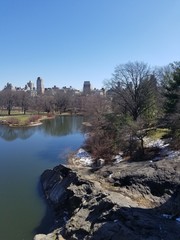 Fototapeta premium Lake in central park NYC 