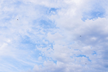 Birds in blue sky among white clouds