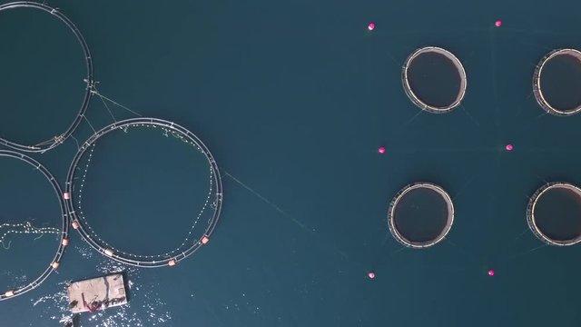 Aerial view of fish farm - Adriatic sea, Croatia