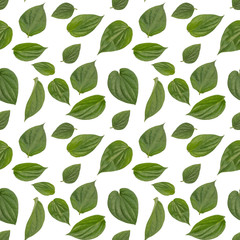 Isolated betel leaf seamless pattern in white background