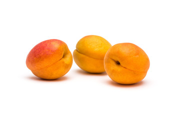 Apricots on a white background