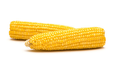 Corn on white background