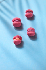 Composition of pink colored macaroon on blue background, flat lay