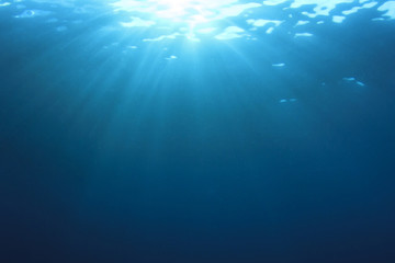 Fototapeta na wymiar Abstract blue underwater background 