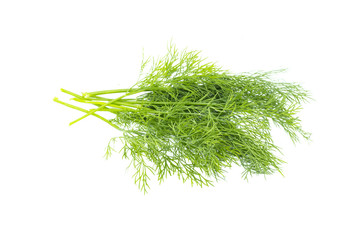 Fresh green dill leaves bunch, raw organic leaf, isolated on white background