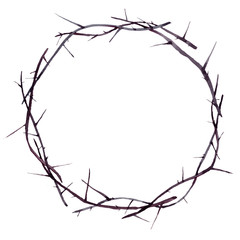 Isolated watercolor thorny wreath.