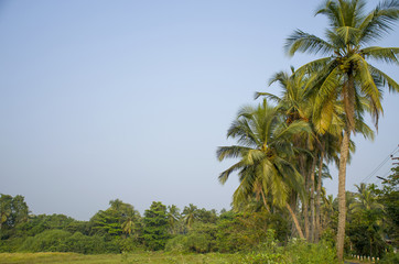 Beautiful tropical landscape in India
