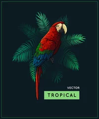 Fototapeten Summer vector design and vintage style jungle illustration with tropical palm tree and parrot - exotic bird isolated on dark background, closeup. Jungle and tropic image. © Alextanya