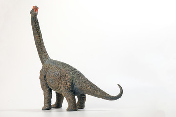 Brachiosaurus Dinosaur Toy figurine on white background