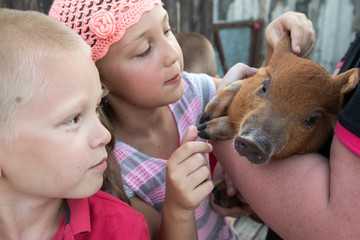 Rural funny children are looking at small red piglet on mother's arms. Concept of healthy lifestyle in nature, love of peace, respect for nature. Girl and boys are happy together. Close up view