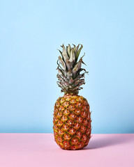 Ripe pineapple isolated on a blue pink background with copy space.