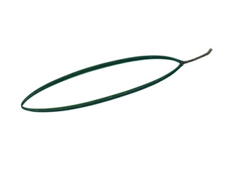 Wrightia religiosa Benth