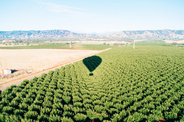 Hot Air Balloon Shadow