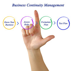Business Continuity Planning