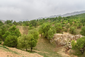 Nature landscape in Lorestan Province. Iran