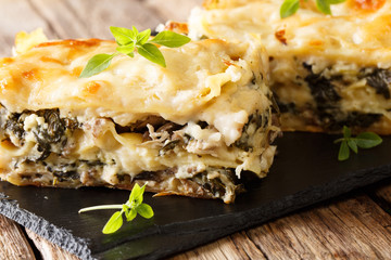 Italian lasagna with chicken, wild mushrooms, mozzarella and parmesan cheese and bechamel sauce close-up. horizontal