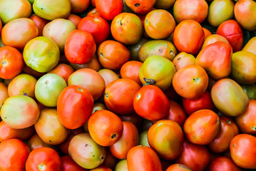 Tomato in market