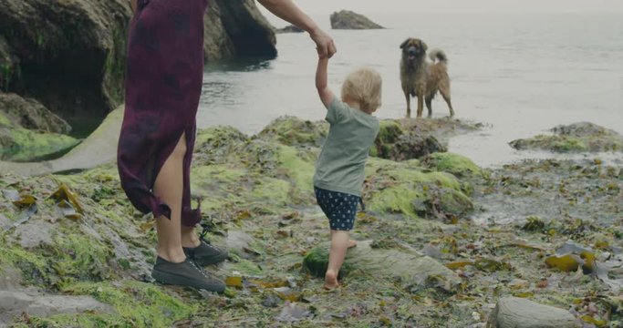 Mother and toddler boy walking on beach with dog